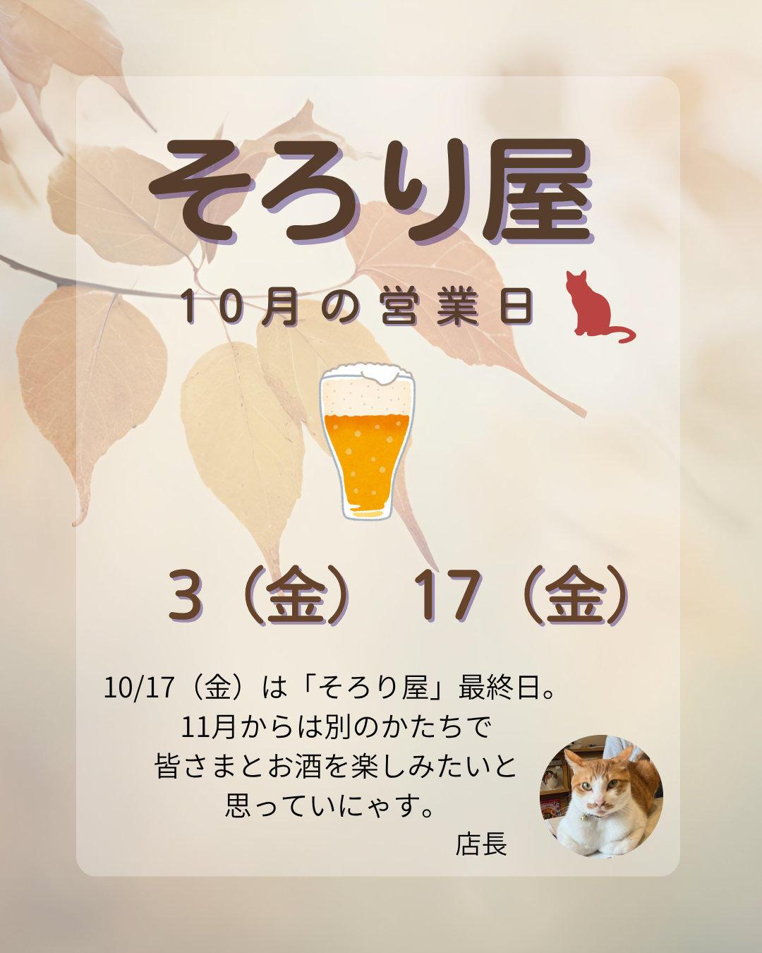 【NEWS】そろり屋 FINAL