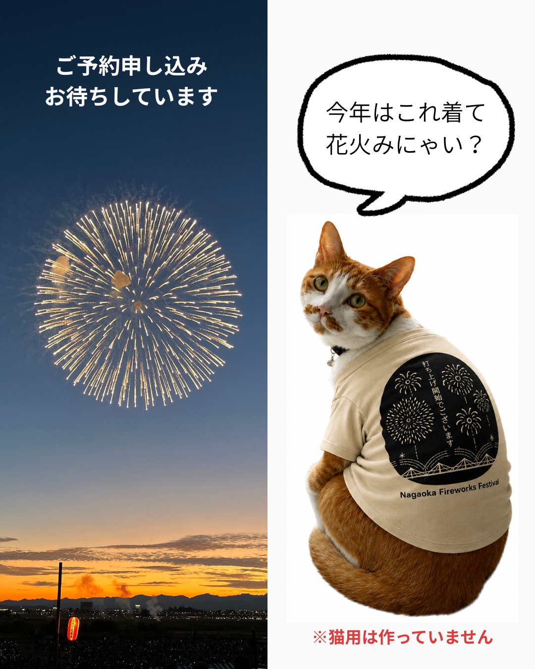 【オリジナル花火Tシャツ販売】予約受付開始