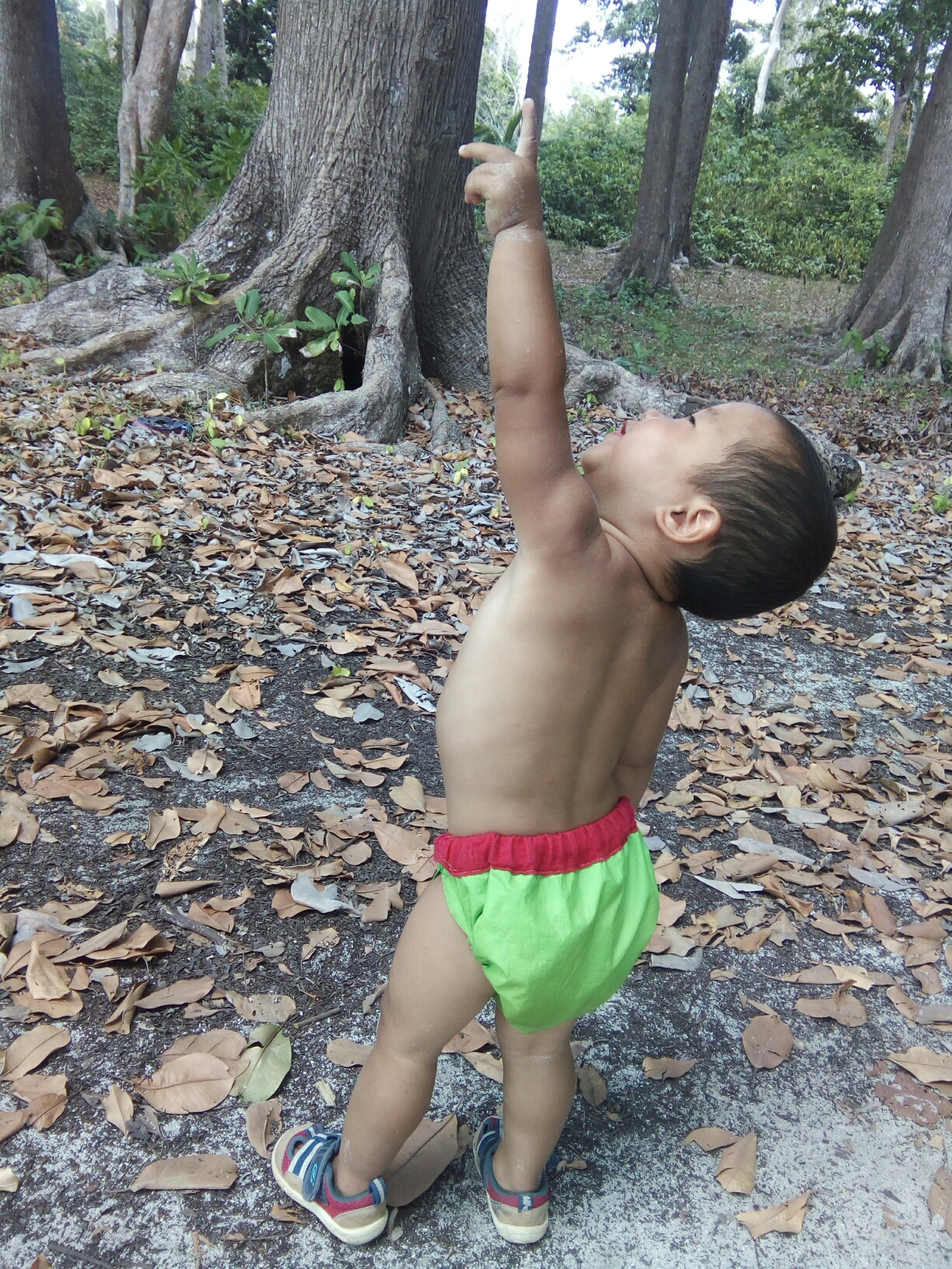 Playful!!