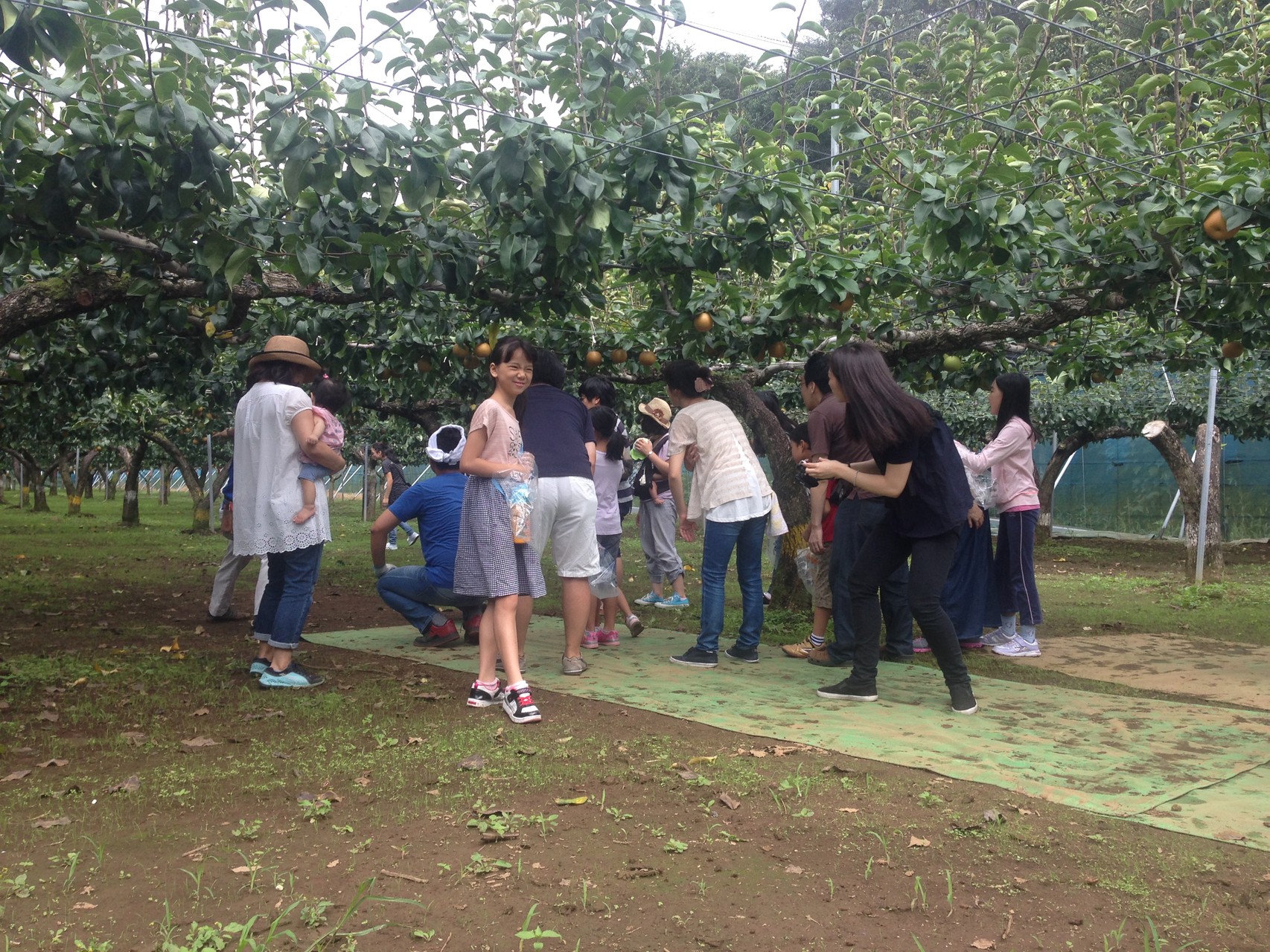 畑へ入園