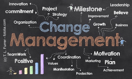 Change Management intelligenter umsetzen