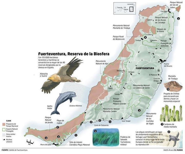 Source: Cab.Fuerte.