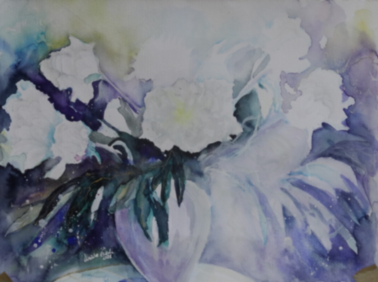 weiße Pfingstrosen   ( Technik: Aquarell)