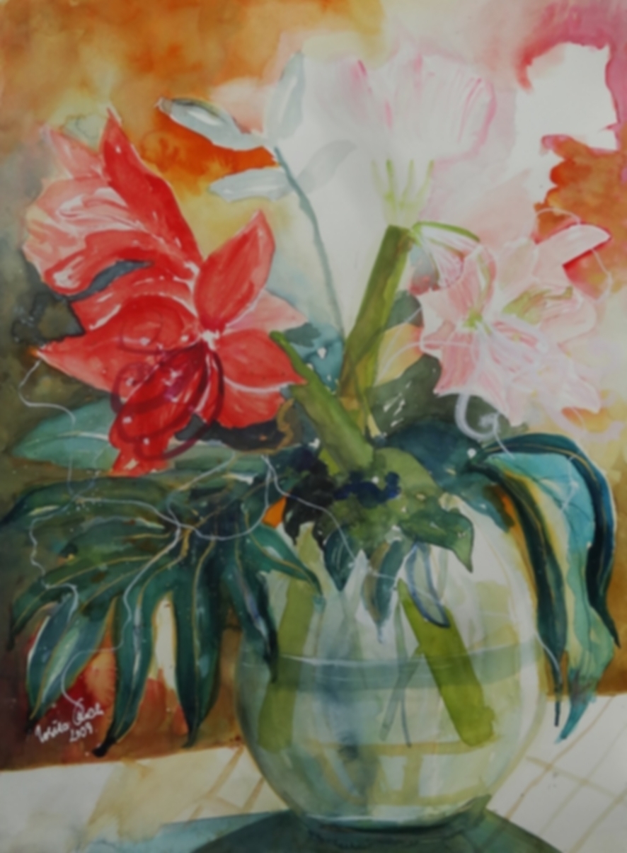 Rote Amaryllis    (Technik: Aquarell   auf Fabriana 600 g Satinata 56 X 76 cm)