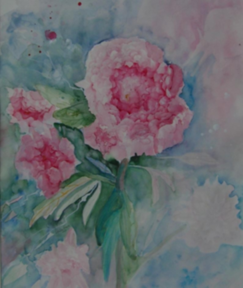 Beauty Pfingstrose   (Technik: Aquarell)