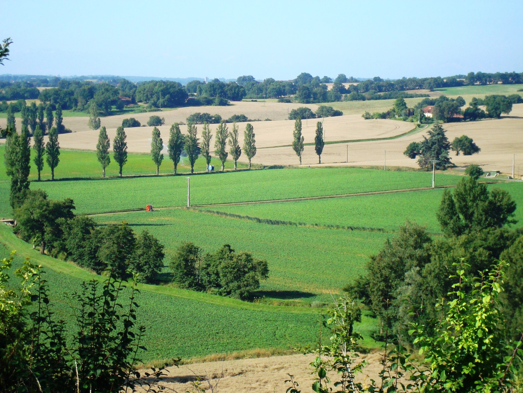 Point de vue du salon
