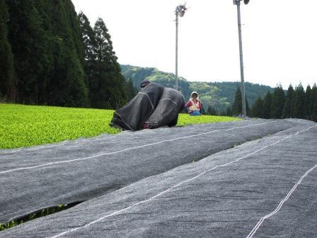 ～被覆資材を運ぶ～