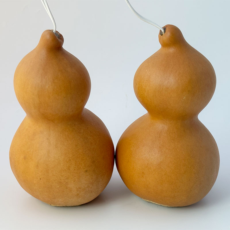 ひょうたんスピーカー☆秋元しゅうせい☆tao10 TAO ひょうたん