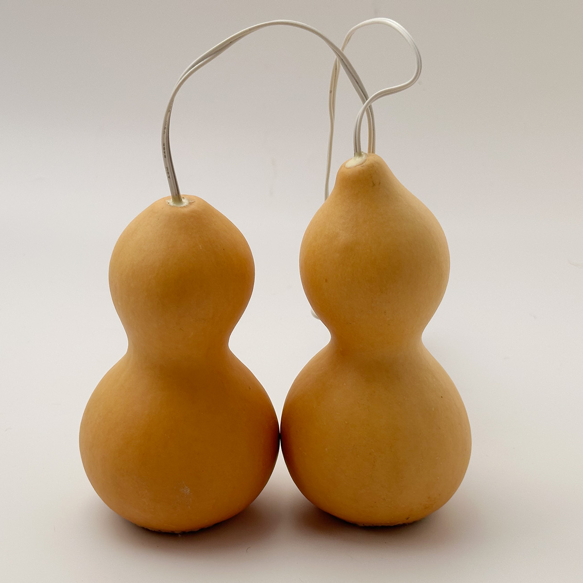 TAO-16-S/type118 - HayamaShop