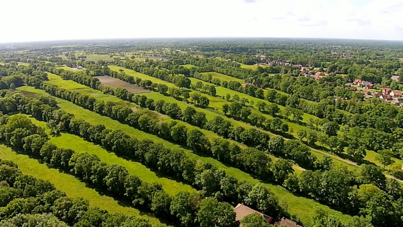 Hist.Sternwallheckenlandschaft - über 230 Jahre - im Ortsteil Ihren 