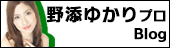 野添ゆかりプロブログ