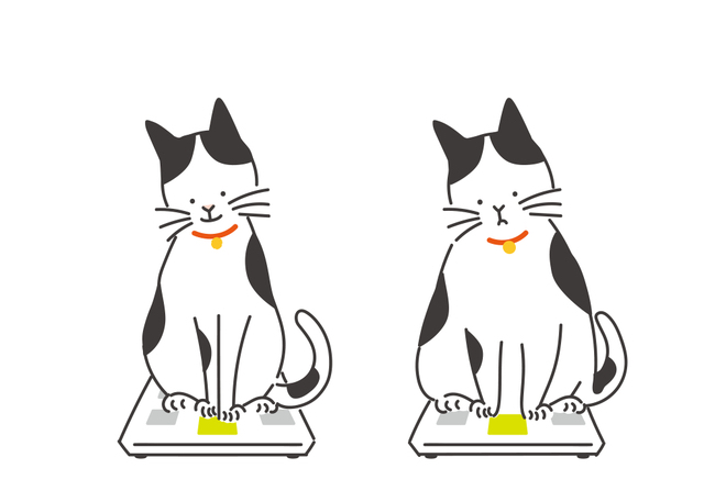 猫の肥満は、体重に加えて肋骨に触れられるか、上から見て腰のくびれがあるかなどで判断します。