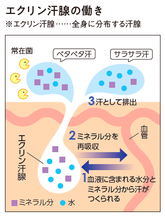 説明図