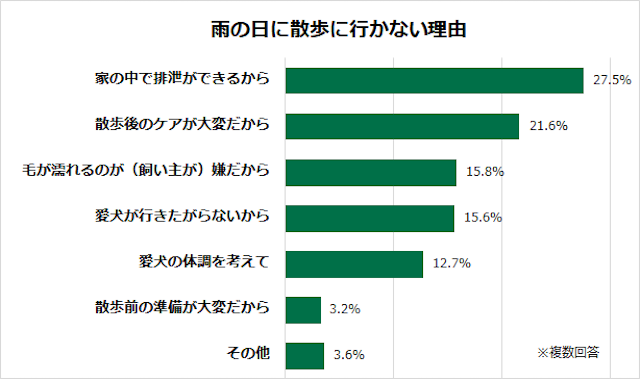 雨の日に散歩に行かない理由