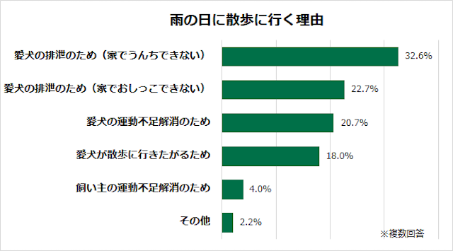 雨の日に散歩に行く理由