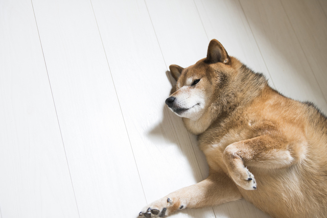 体を動かすことが減っていませんか?