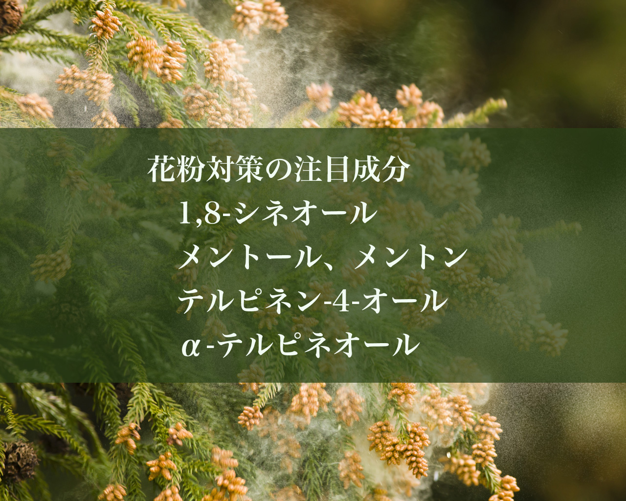 花粉対策の注目成分