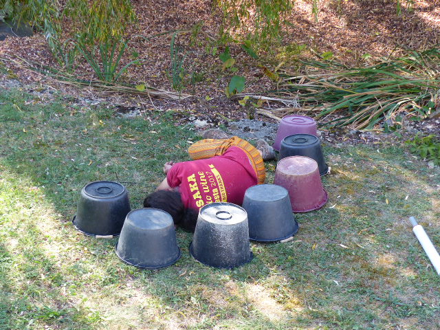 le patron sieste