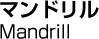 マンドリル／Mandrill
