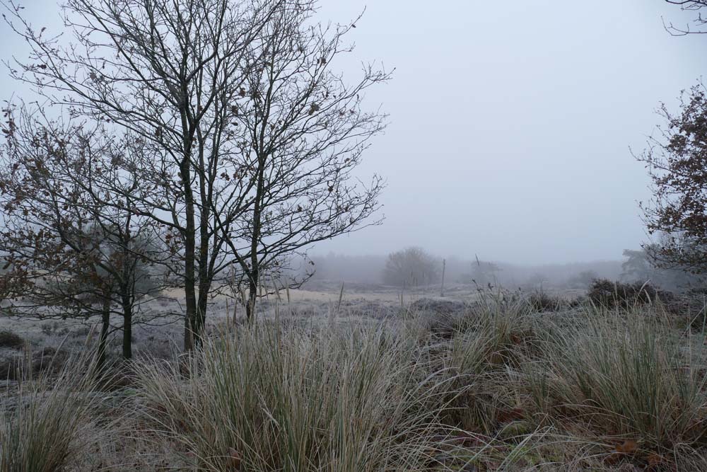 Nienke Kuipers, cursus Landschap & Natuur