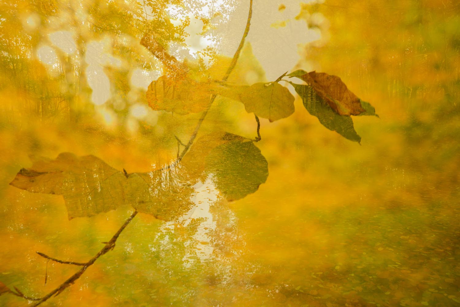 Chantal van Breugel, cursus Landschapsfotografie