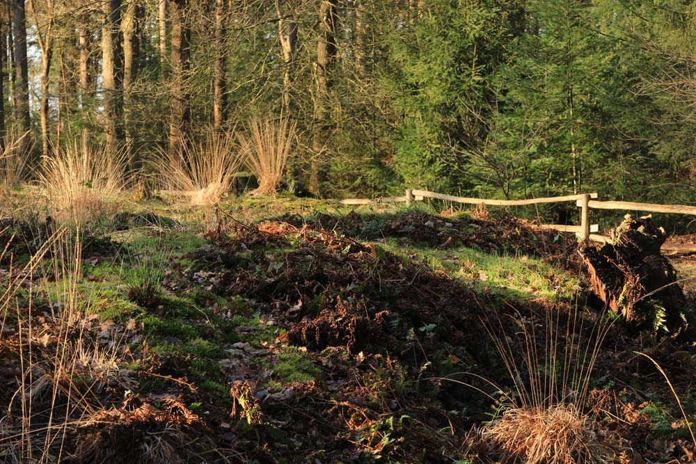 Fokje Kramer, cursus Landschap deel 4