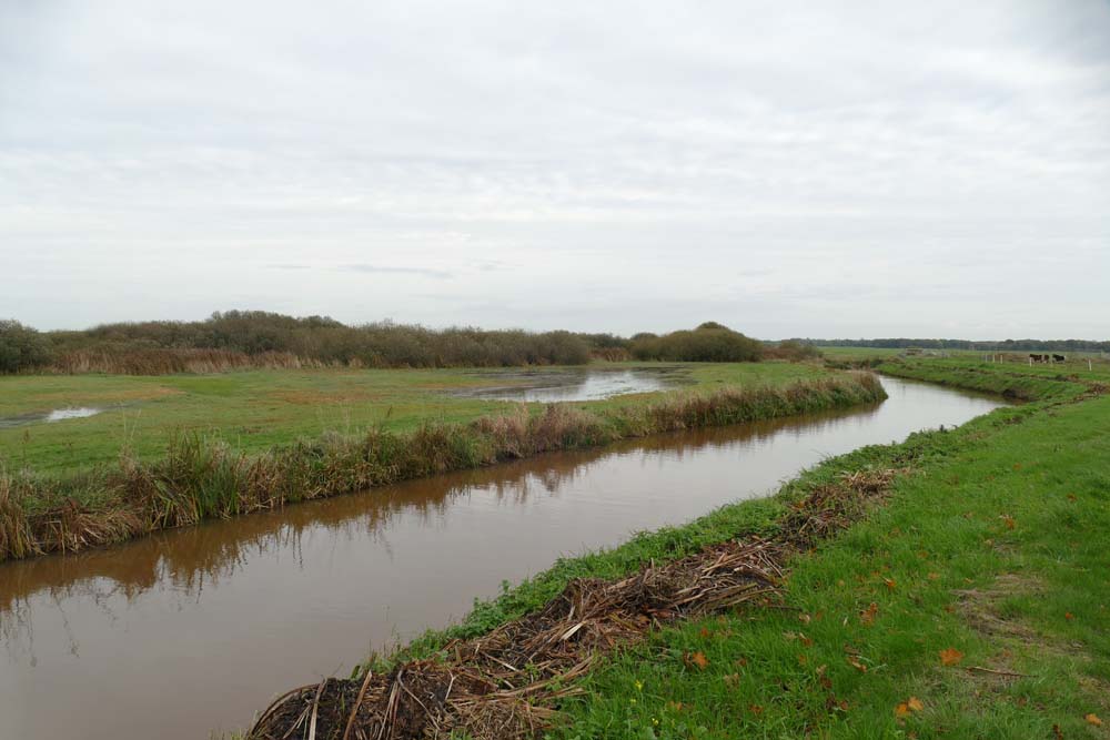 Nienke Kuipers, cursus Landschap & Natuur