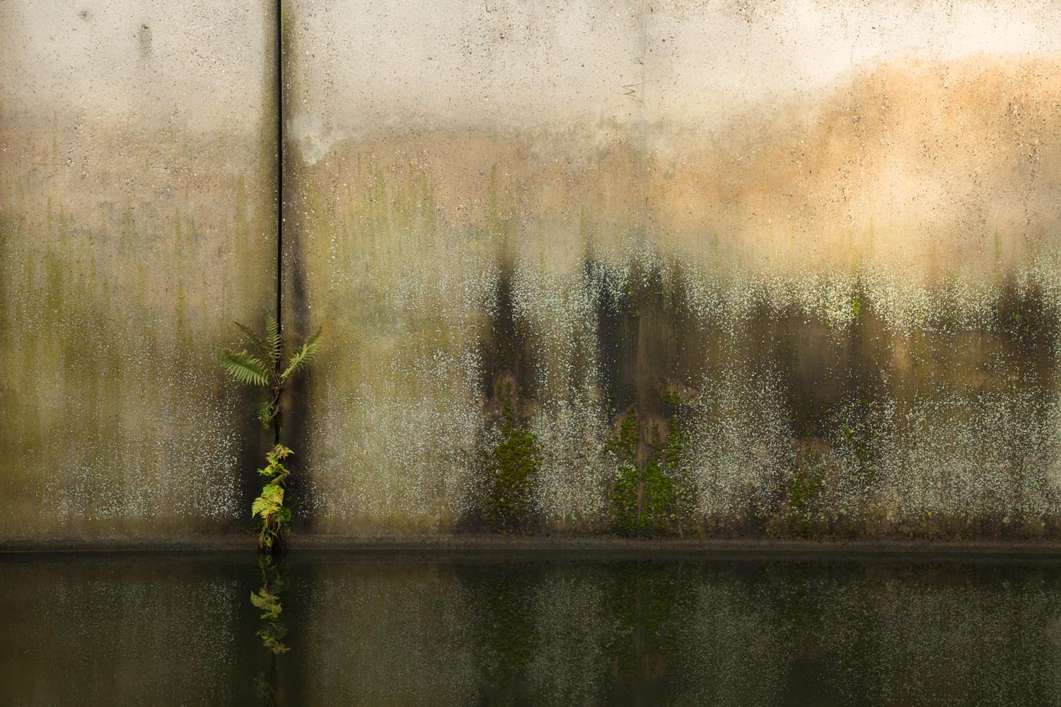 Chantal van Breugel, cursus Landschapsfotografie