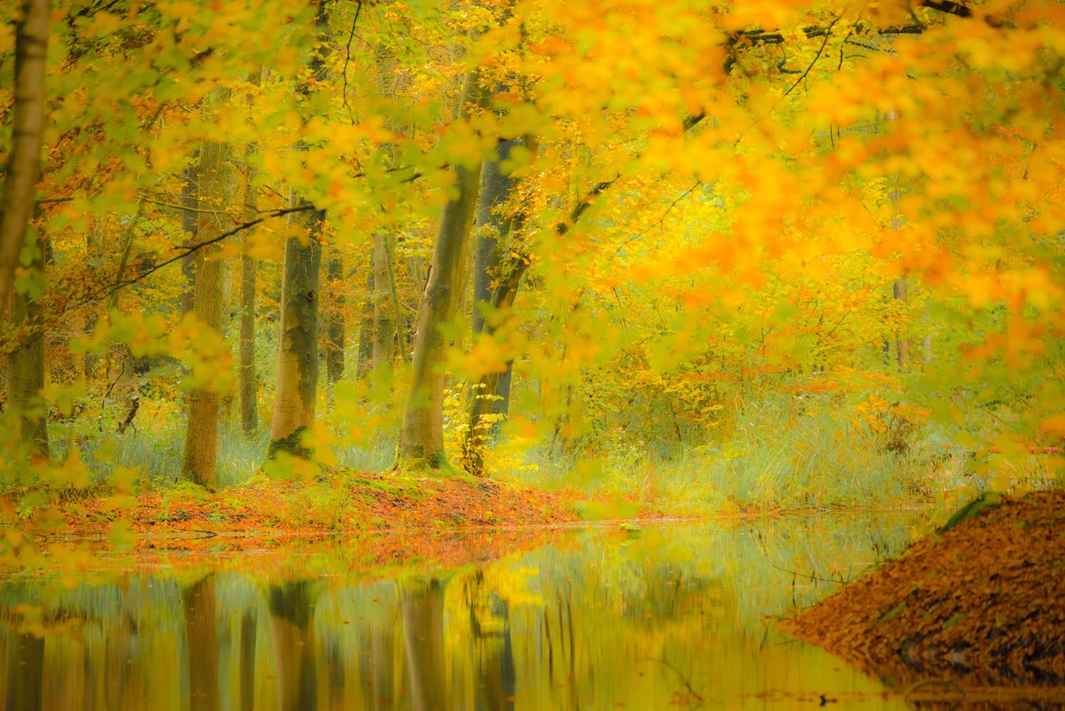 Herma Snijder, cursus Landschapsfotografie