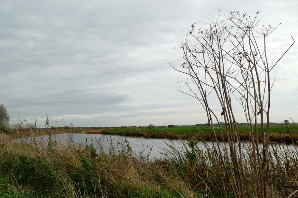 Nienke Kuipers, cursus Landschap & Natuur