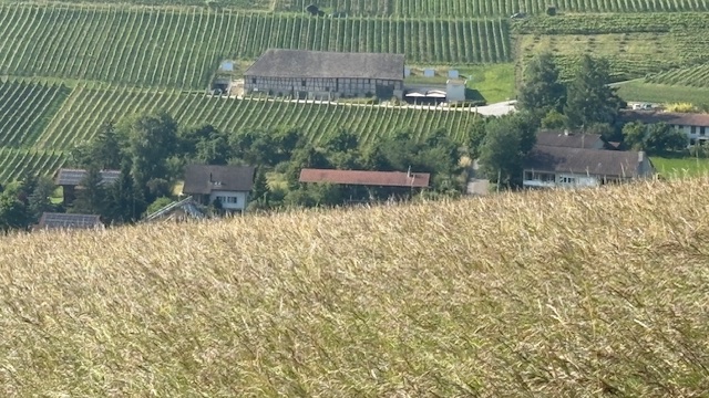 Bergtrotte Osterfingen