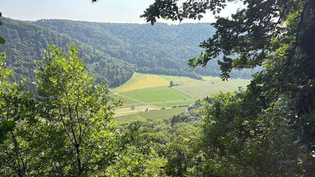 Wangetel