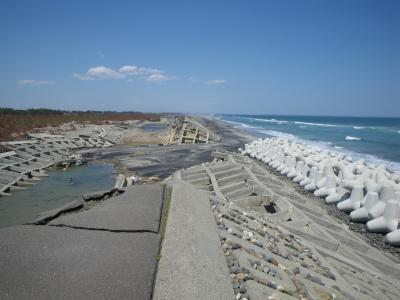 至るところに大きな爪跡が残っていました