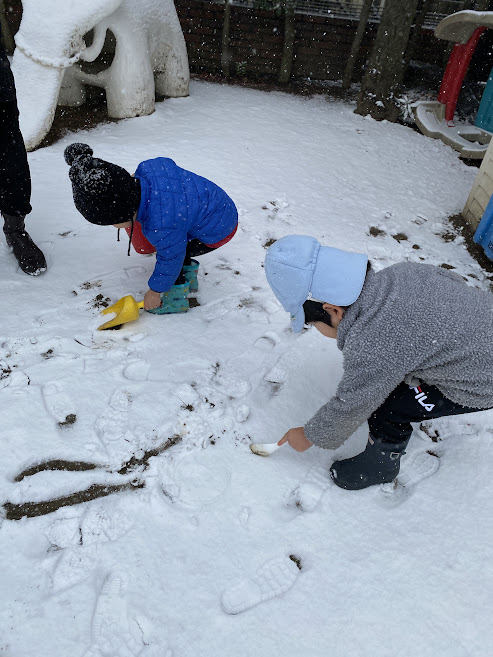 冷たいけれど、集めてみました