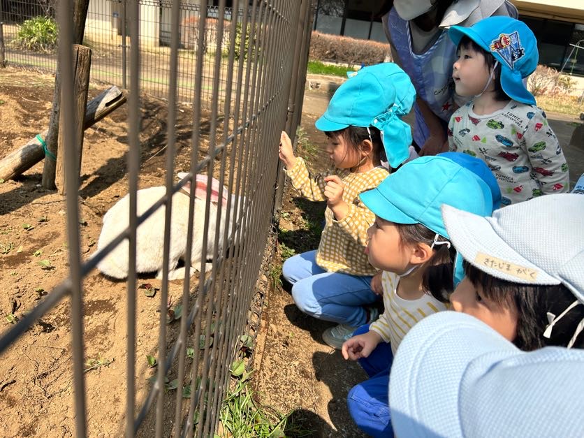 うさぎさんもいます。
