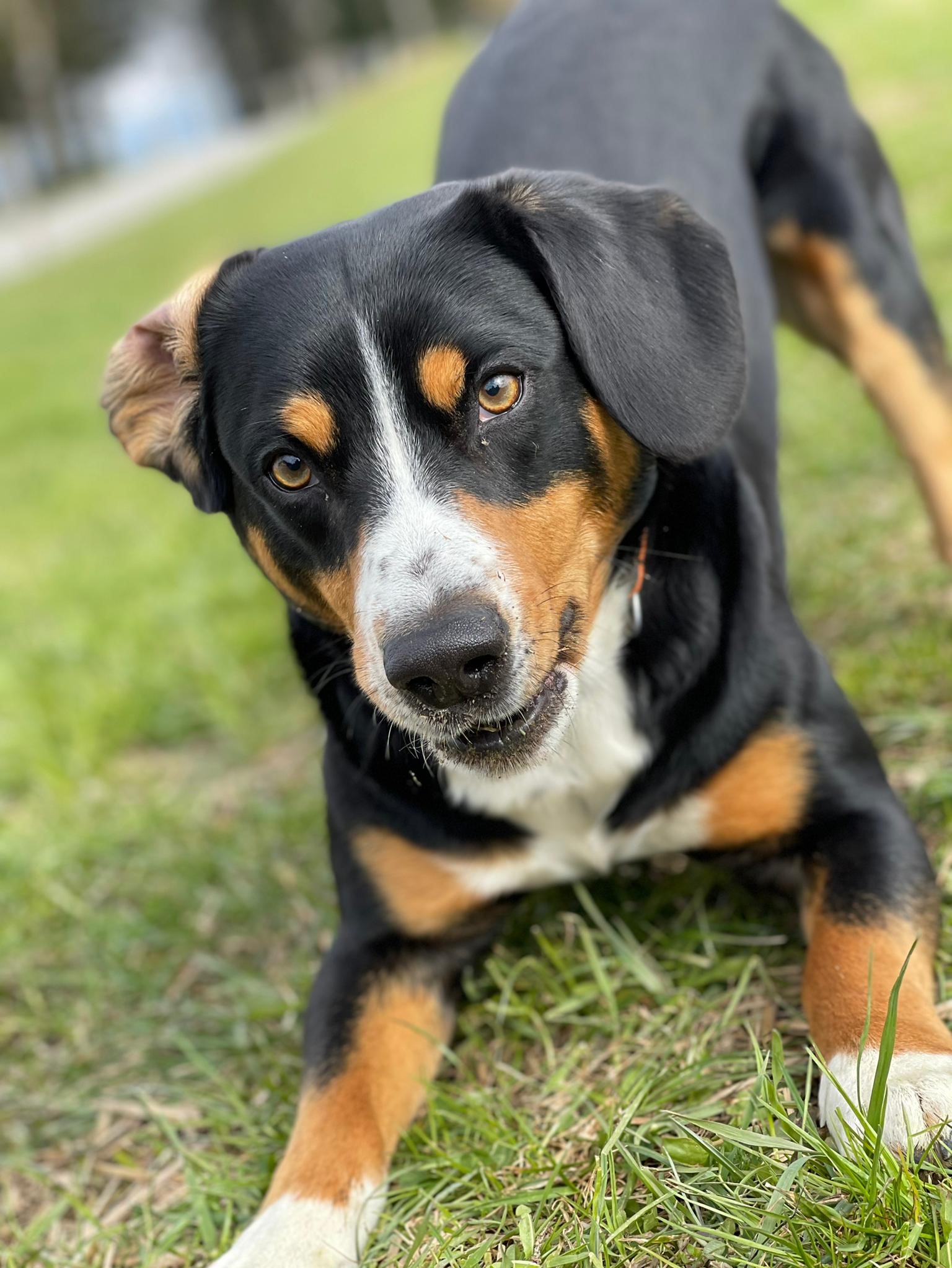 Otschi, mir hei di sooo fescht gärn