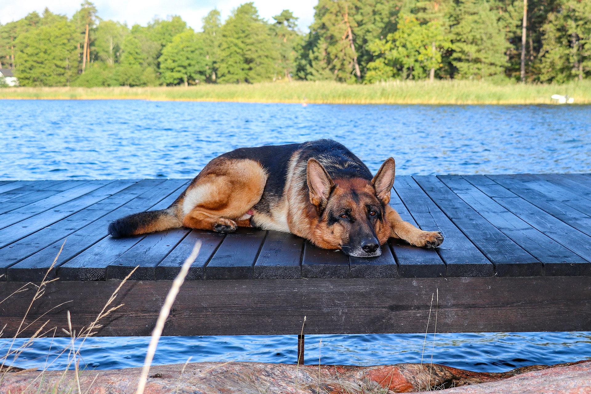 Relaxen auf dem großen Bootssteg in Fredön.