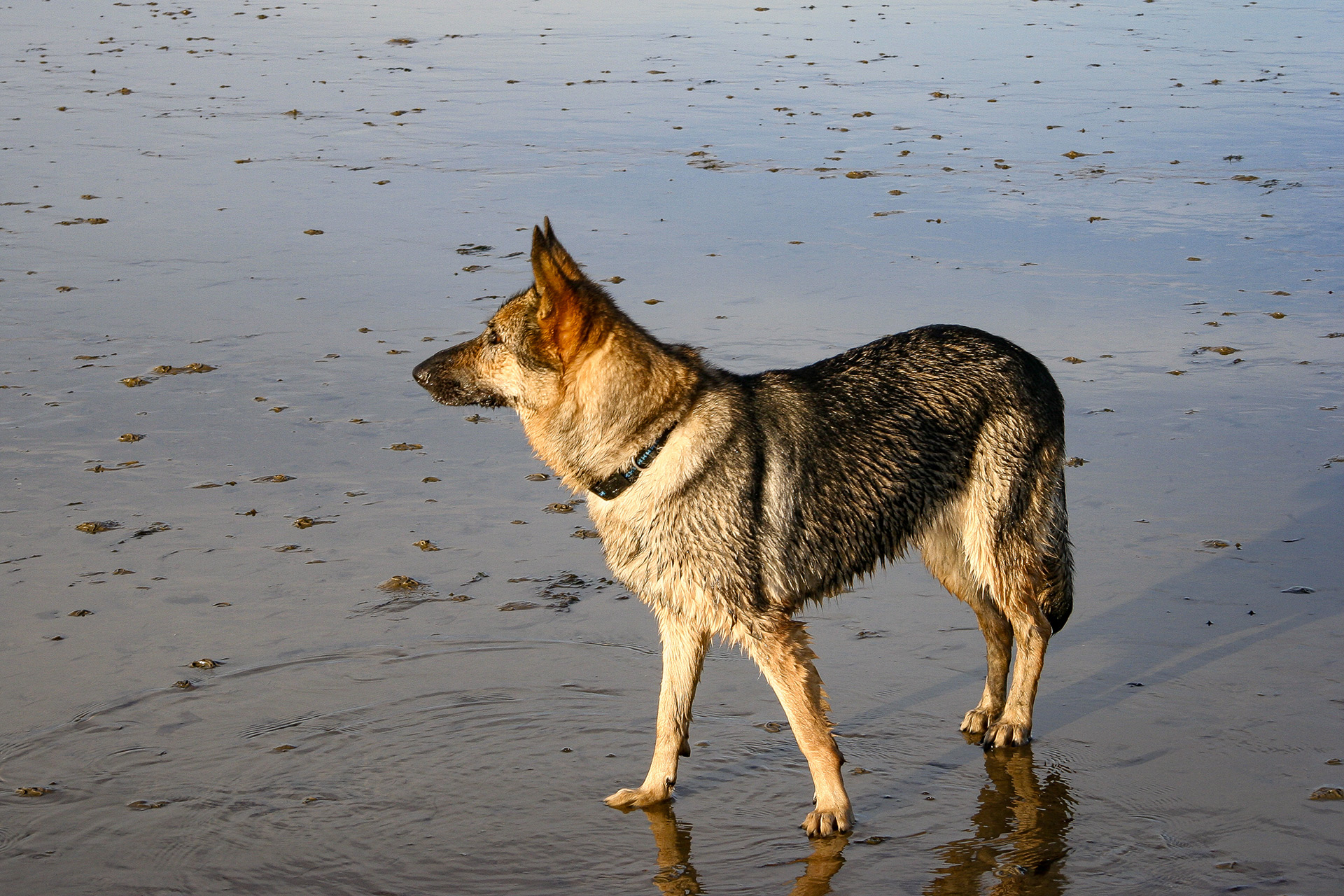 Watt. Und wo ist das Meer?