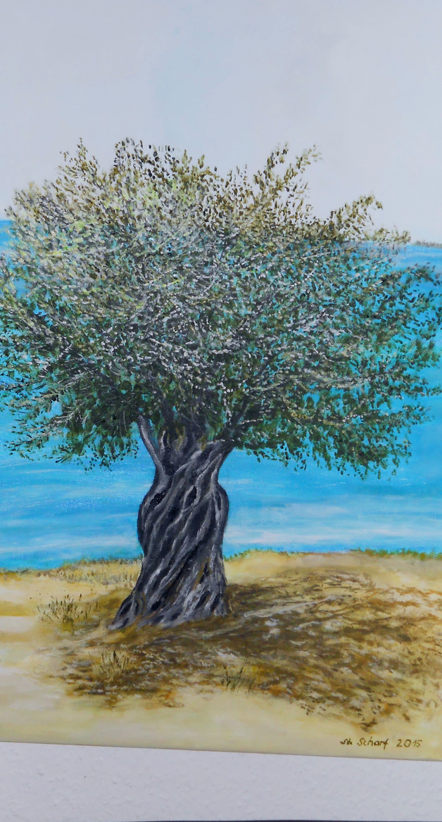 Olivenbaum, Acryl auf 70 x 50 cm leinwand