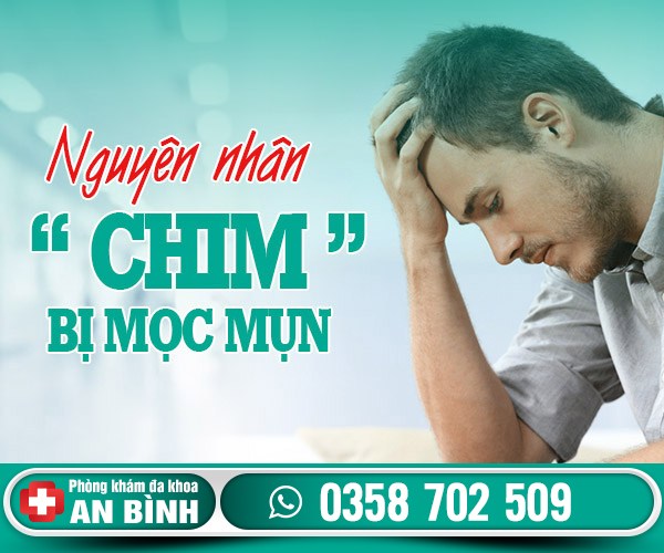 Bị mọc mụn ở chim bị làm sao? Chữa như thế nào?