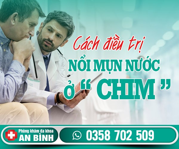 Chim bị nổi mụn nước: Nguyên nhân, cách điều trị triệt để