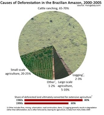 図６ 2000－2005年アマゾン森林破壊の原因＝破壊原因の7割が牧場開発　by Mongabay.com