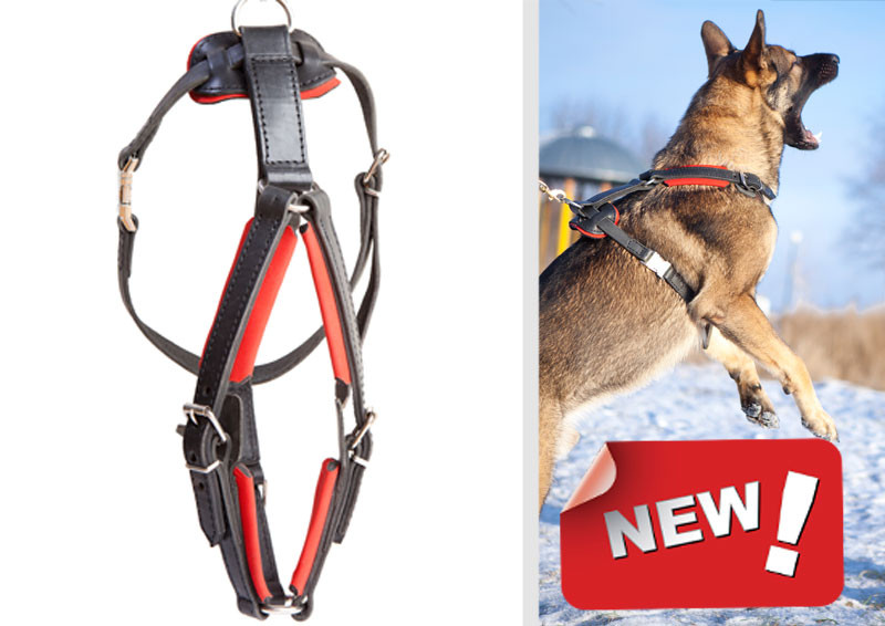 German Shepherd padded dog harness for walking K9 PROFI / PRIDE