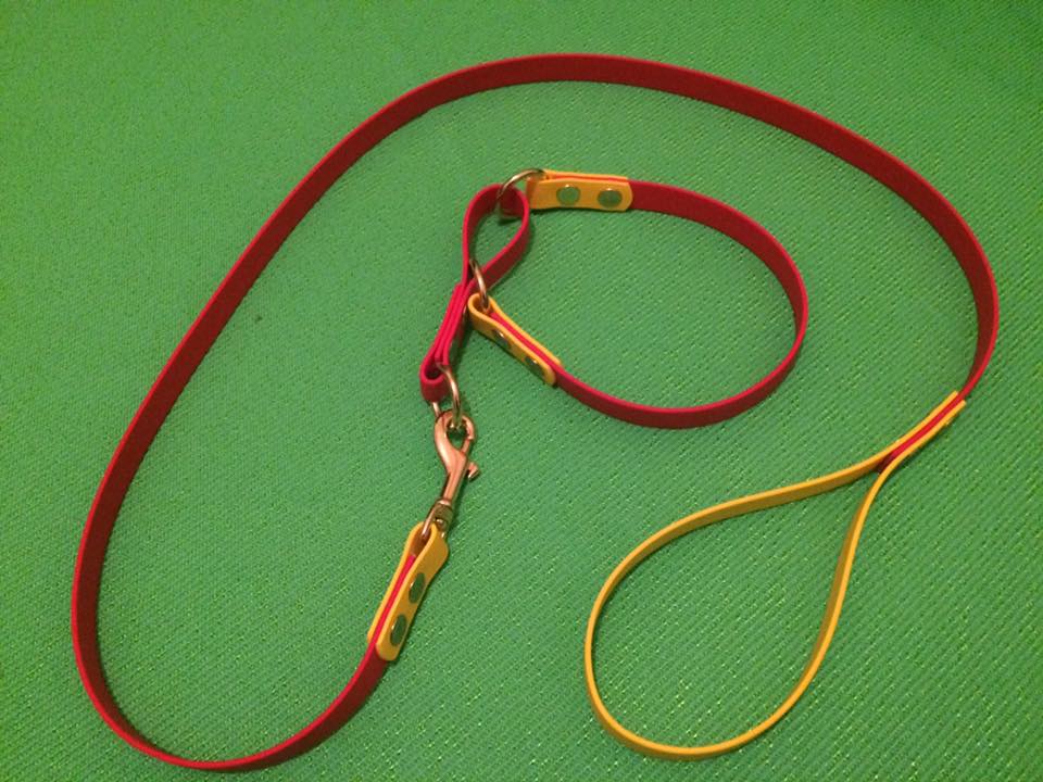 Biothane Dog Lead and Collar K9 PROFI / PRIDE