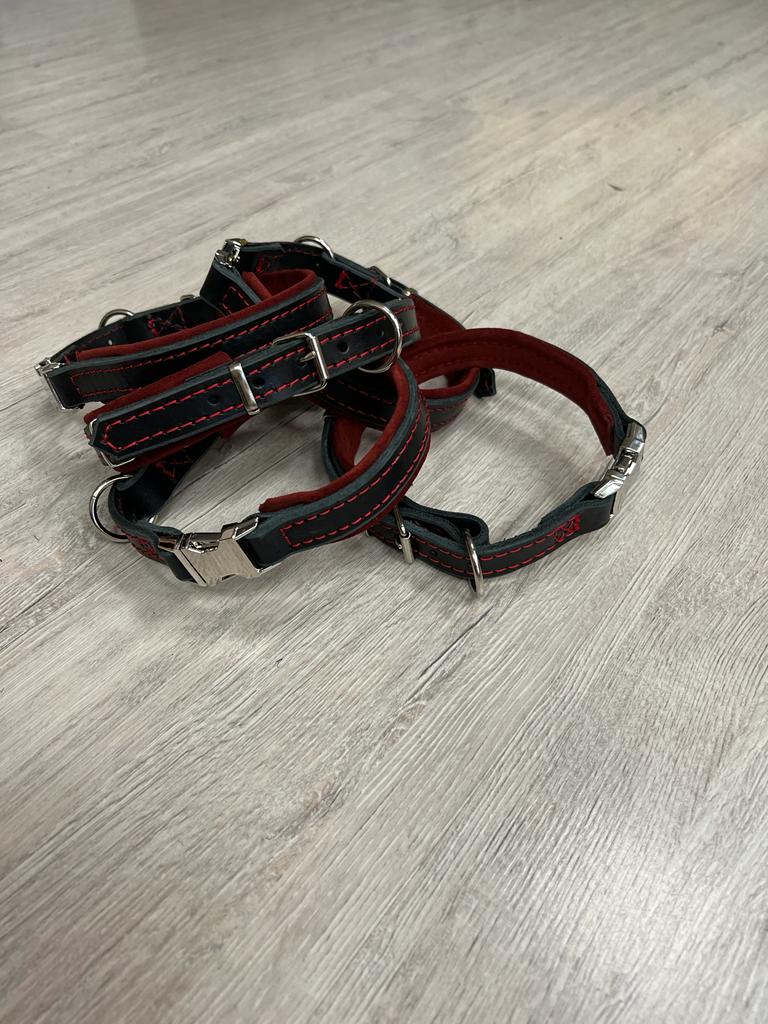 Working dog collars Ireland / Pet Collar K9 PROFI / PRIDE