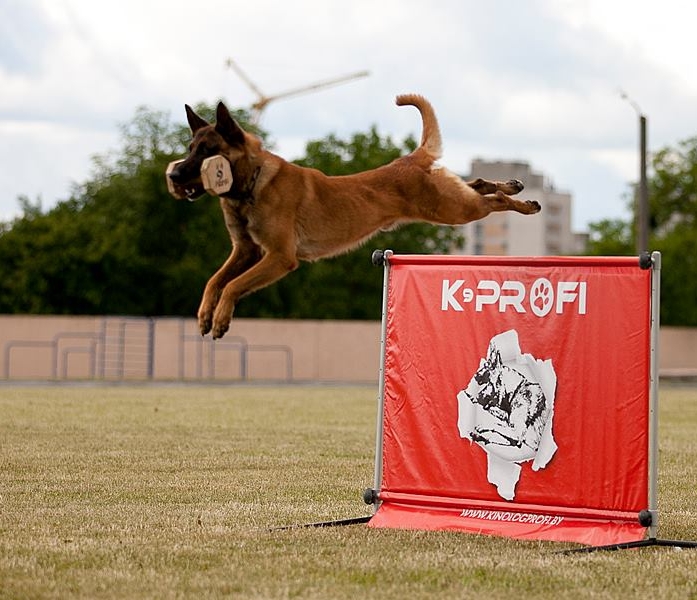 K9-Profi.com dog training equipment