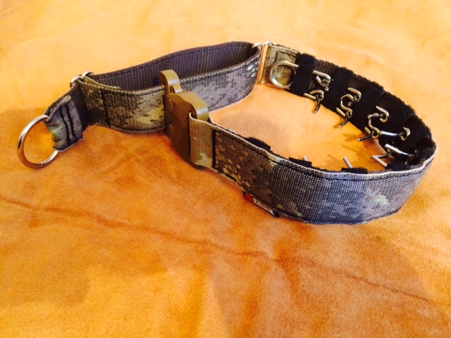 Hidden prong collar with buckle 2025