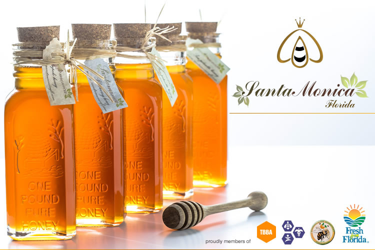 Santa Monica Florida Local Raw Honey