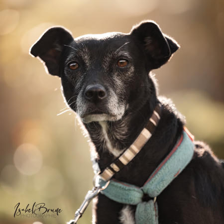 Bella
