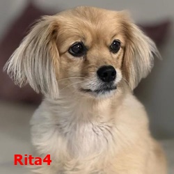 Rita4